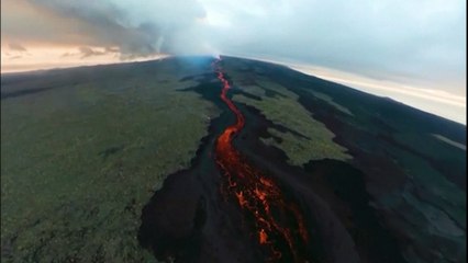 Vulkan Wolf auf Galapagos aktiv: Einzigartige Leguane unversehrt