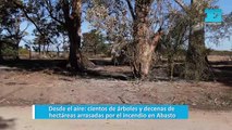 Desde el aire: cientos de árboles y decenas de hectáreas arrasadas por el incendio en Abasto