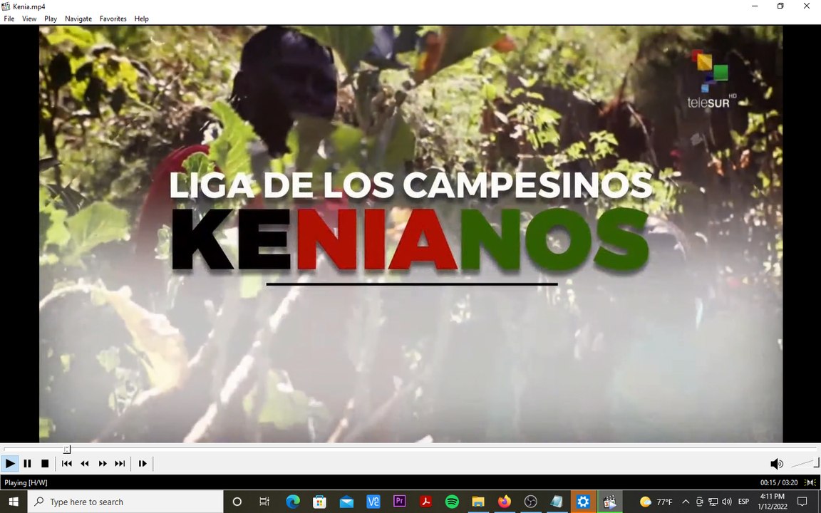 Campesinos de Kenia promueven uso de semillas e insumos químicos para el sector agrícola