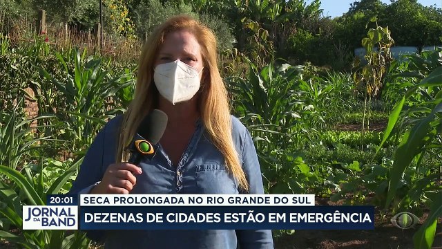 Prejuízos para produtores rurais aumentam no Rio Grande do Sul com a seca prolongada. Uma onda de calor de mais de 40 graus só agrava a situação