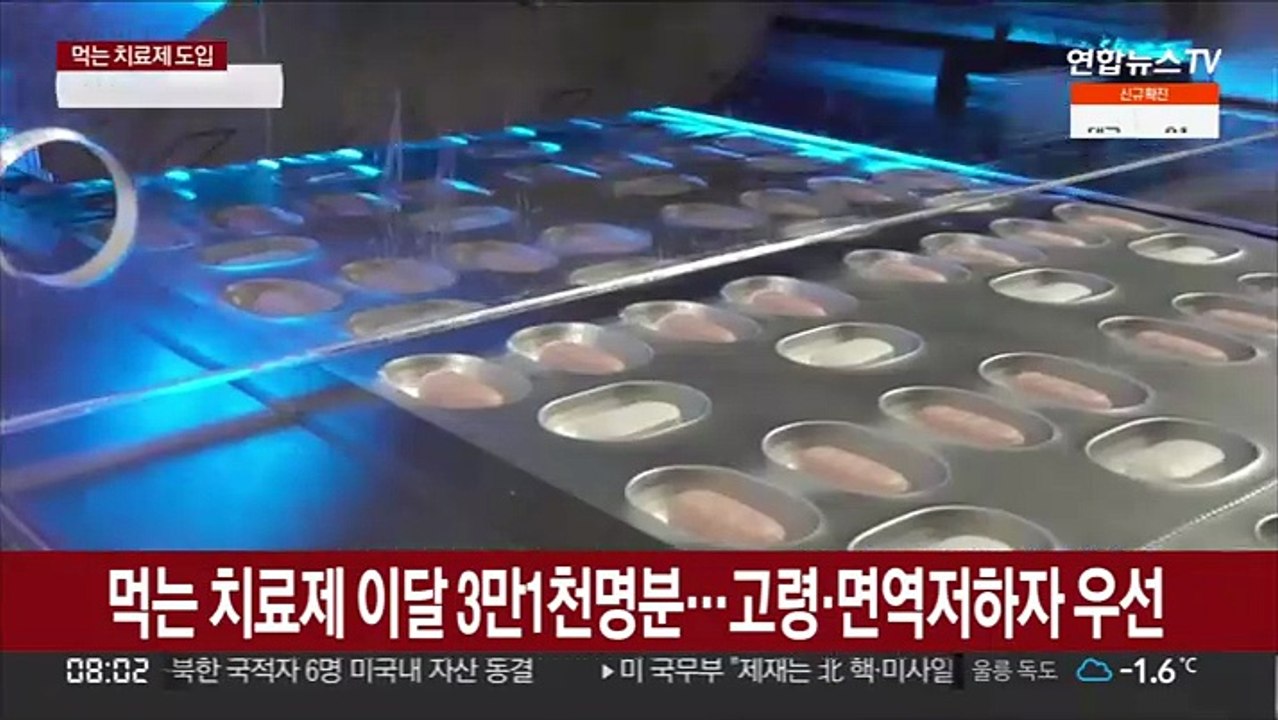 먹는 치료제 이달 3만1천명분…고령·면역저하자 우선