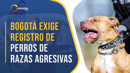 Download Video: Cómo registrar en Bogotá a perros de razas agresivas y evitar ser multado por la Alcaldía