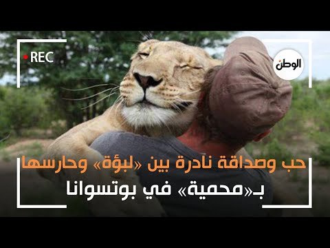 حب وولاء وصداقة نادرة بين «لبؤة» وحارسها بـ«محمية» في بوتسوانا