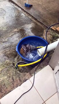 Moradores reclamam de falta água potável em Ouro Preto (2)