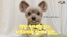 먹방 천재멍 요다, 파프리카는 싫어해 논란...