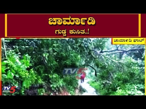 ಚಾರ್ಮಾಡಿ ಘಟ್​ ರೋಡ್​ನಲ್ಲಿ ಗುಡ್ಡ ಕುಸಿತ | Charmadi Ghat Road | Traffic Jam | TV5 Kannada