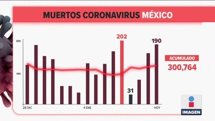 En las últimas 24 horas se registraron 190 muertes por Covid-19