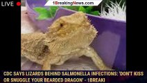 CDC says lizards behind salmonella infections: 'Don't kiss or snuggle your bearded dragon' - 1breaki