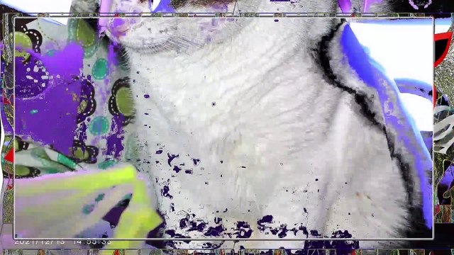 Driving to bank l shopping l Special effectsl Powerdirector