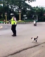 Lihat, bagaimana seorang polisi menuntun seekor kucing menyeberang jalan.