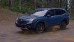 Subaru Forester Wilderness Driving Video