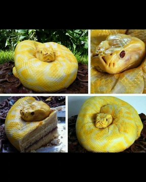 Awesome Realistic Cake Ideas __ Creative Cake Decorating Hacks