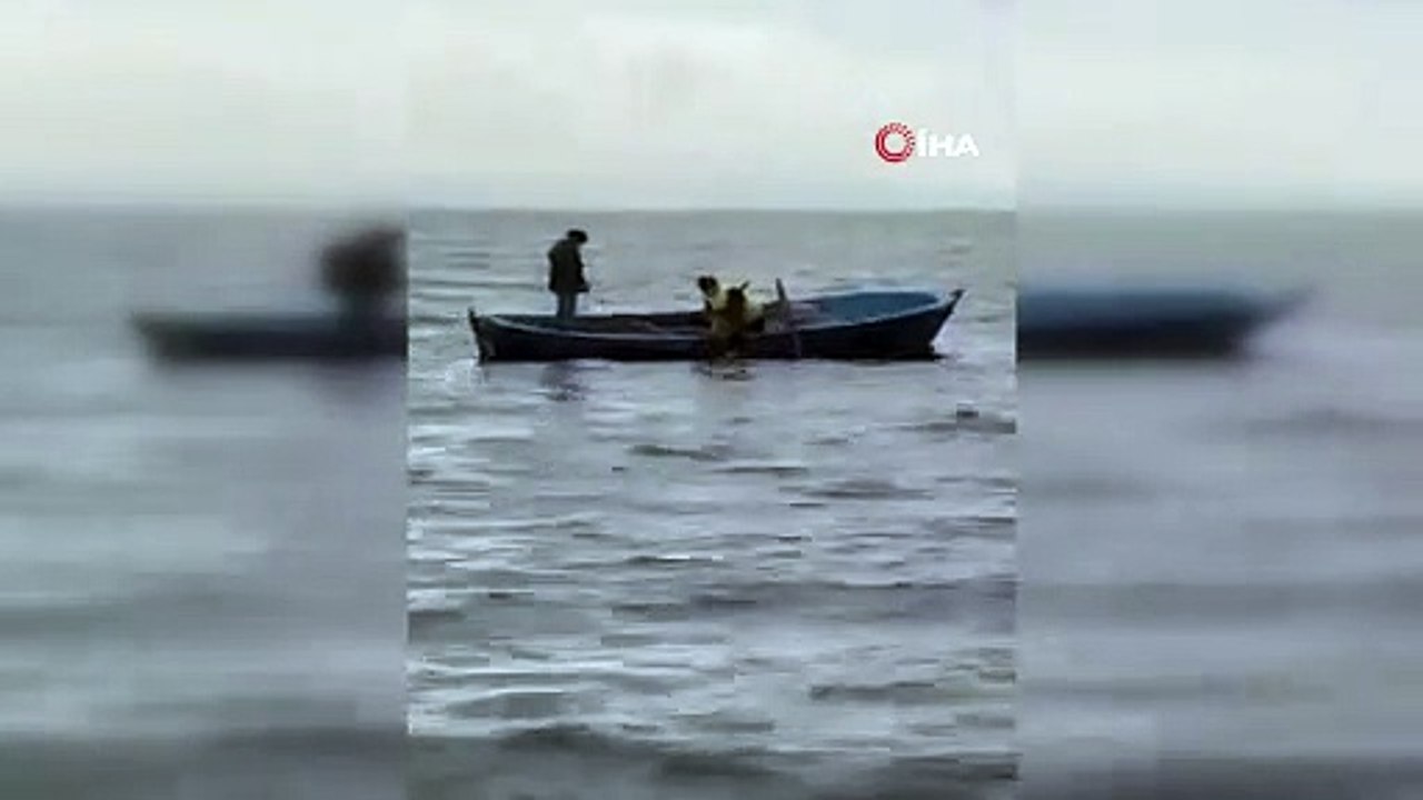 Gölün ortasındaki köpeği işte böyle kurtardılar