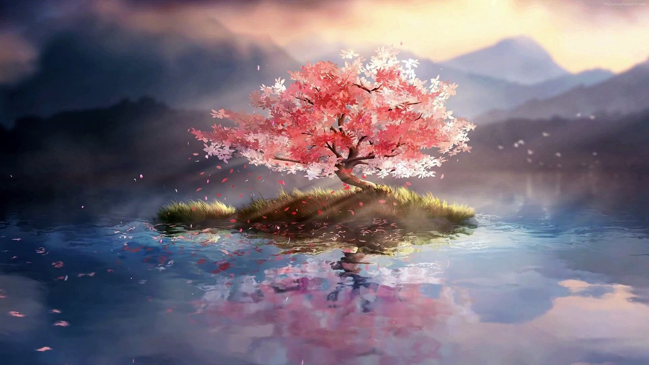 Relaxing Music: 3 Hours Of Beautiful Piano Music, Sleep Music, Calming Music With Nature Animation