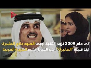 "حريم تميم".. من تكون "موزة ٢"؟