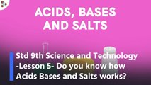 Std 9th Science and Technology -Lesson 5- Do you know how Acids Bases and Salts works?