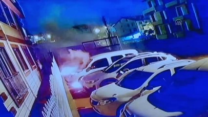 Park halindeki hafif ticari araç yandı