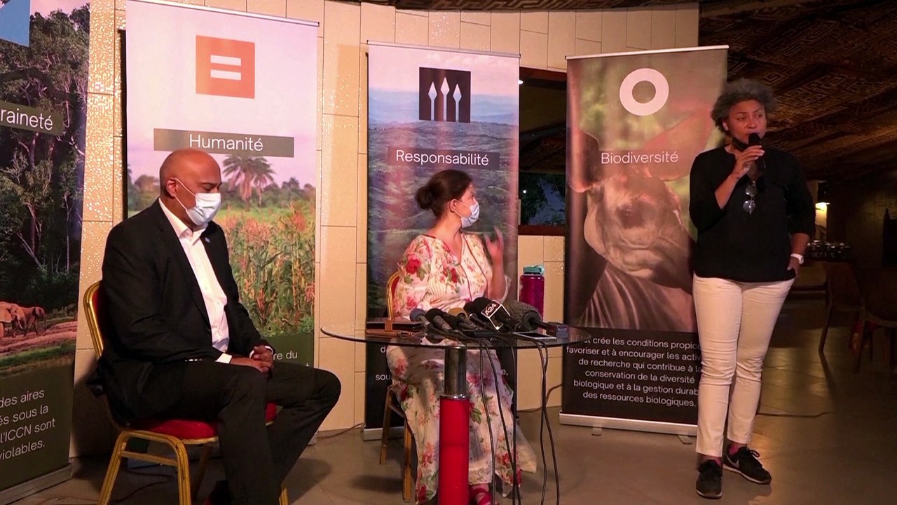 U.S. actress Ashley Judd returns to Congo to study bonobos