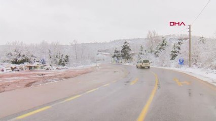 SOKAK KÖPEKLERİ SOĞUKTAN ETKİLENDİ