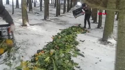 TEKİRDAĞ'DA YABAN HAYVANLARINA 750 KİLO YEM BIRAKILDI