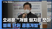 서울 재개발 어려운 저층 주거지에 '오세훈표 모아주택' 도입 / YTN