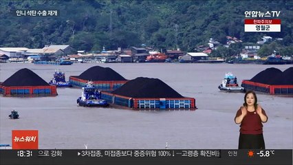 인도네시아 석탄 수출 재개…"안심할 단계 아니다"
