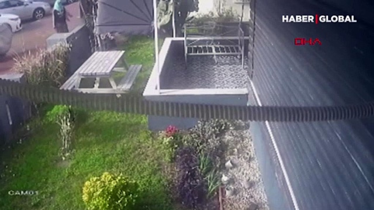 Antalya'da kedi kulübesini çaldılar! Evleri çalınan kediler böyle kaçıştı