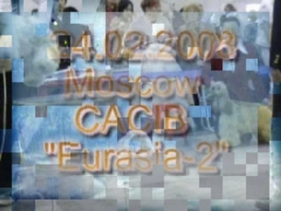 Dog Show EURASIA-2 24.02.2008 Moscow part 3