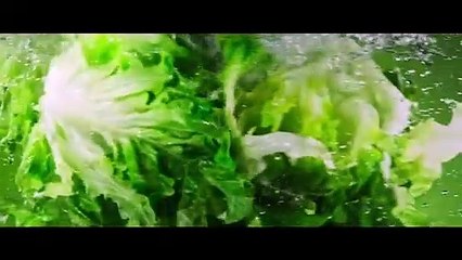 Bob's Burgers : le film Bande-annonce VO (2022) H. Jon Benjamin, John Roberts