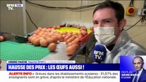 Le prix des œufs va-t-il augmenter? BFMTV répond à vos questions