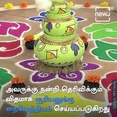 Significance Of Pongal Festival