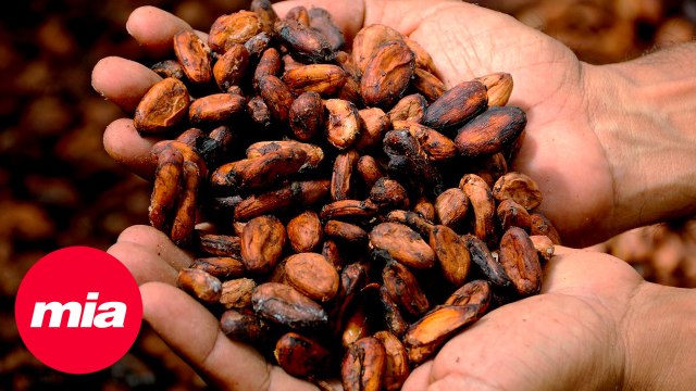 10 súper alimentos que deberían formar parte de tu 2022