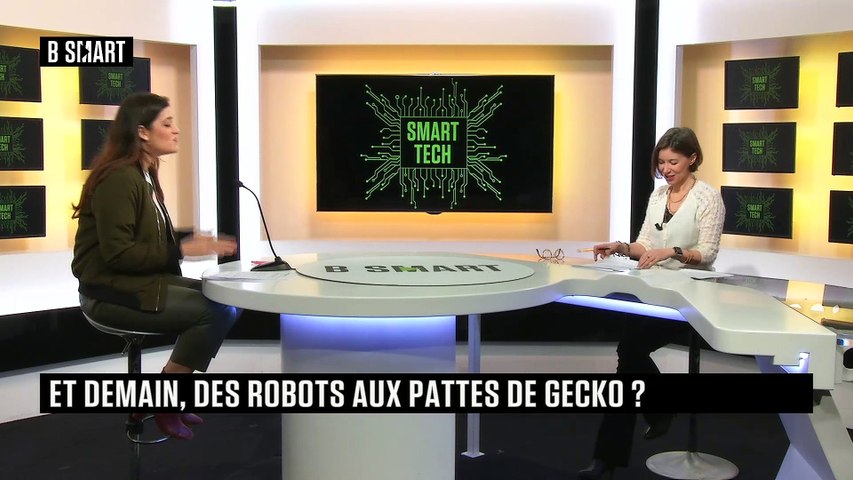 Et demain, des robots aux pates de gecko ?