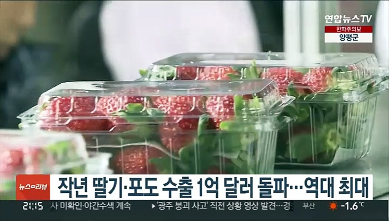 작년 딸기·포도 수출 1억 달러 돌파…역대 최대