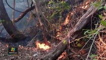 tn7-850-bomberos-listos-para-atender-temporada-de-incendios-forestales-130122