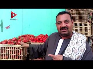 الطماطم في "العبور"  بـ2 ,5 وفي الأسواق بـ8 جنيه ..."مجنونة ياقوطة"