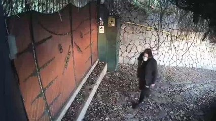 ALİ KIRCA'NIN EVİNE GİREN HIRSIZ YAKALANDI