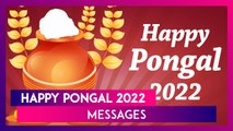 Pongal 2022 Wishes: Download Images With Thai Pongal Quotes, Greetings, Facebook Status and Messages