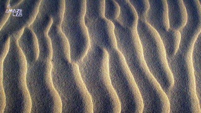 Scientists Find Universal Mathematical ‘Law’ Hidden in Sand Ripples