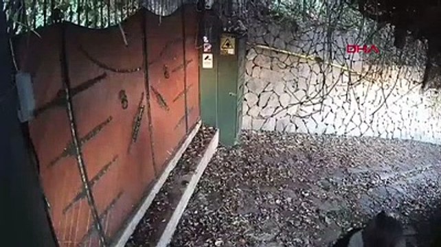 Ali Kırca'nın evine giren hırsız yakalandı