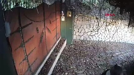 Ali Kırca'nın evine giren hırsız yakalandı