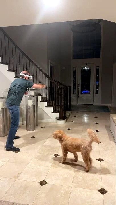 Vase Plays Victim to Virtual Reality Punches