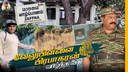 யாழ்ப்பாணம் இப்போ எப்படி இருக்கிறது? | Jaffna Live Tour | Tamil Trekker