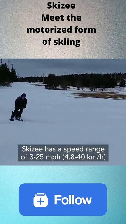 Skizee