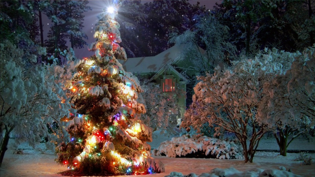 Christmas - Things we enjoyed