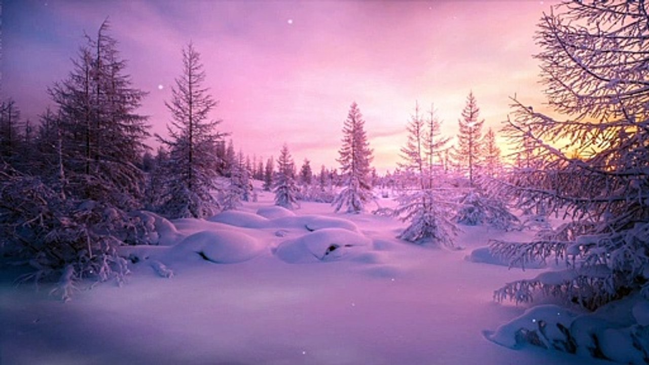 Winter Days - Snow fall