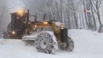 Sakarya'da kar yağışı sebebiyle kapanan yollar açıldı