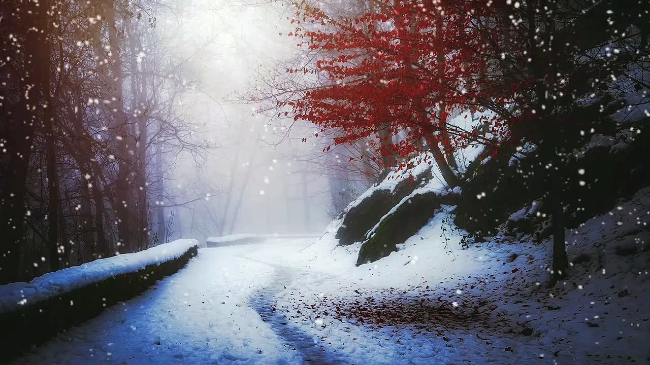 Snowy Day (Freezing Temperature)