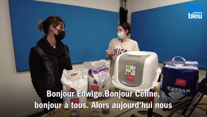 Tout Savoir sur la Litière - Avec Edwige Audurier