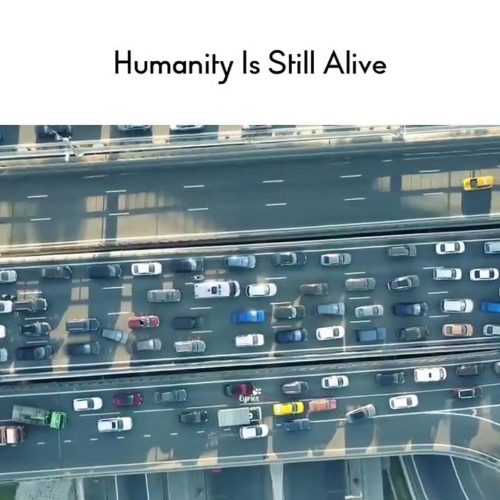 Humanity Still Alive